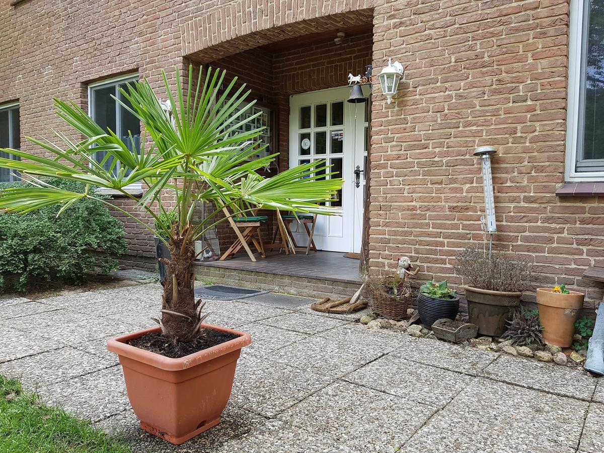Pension 'Das Kleine Landhaus' Oberhaverbeck Esterno foto