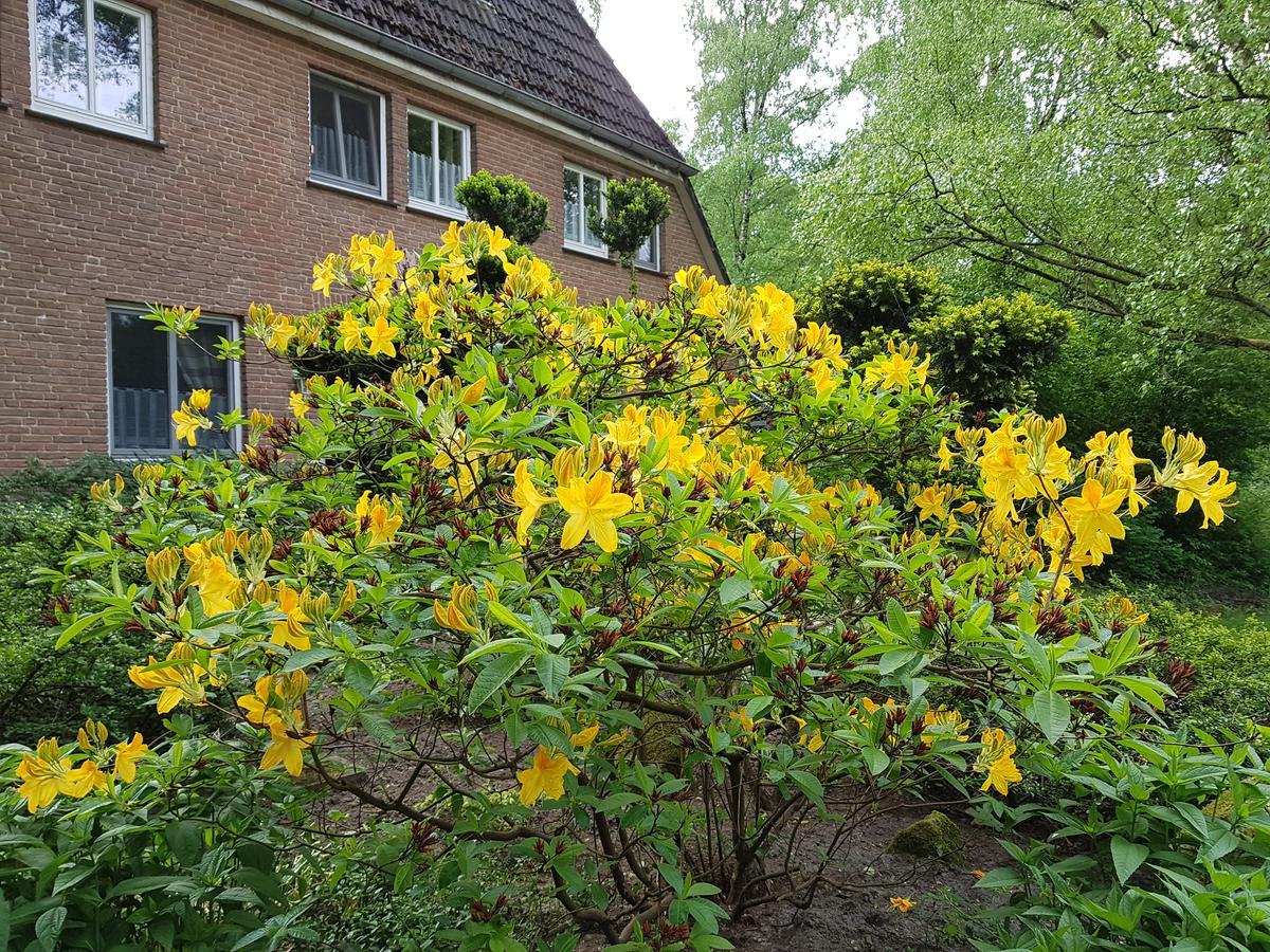 Pension 'Das Kleine Landhaus' Oberhaverbeck Esterno foto